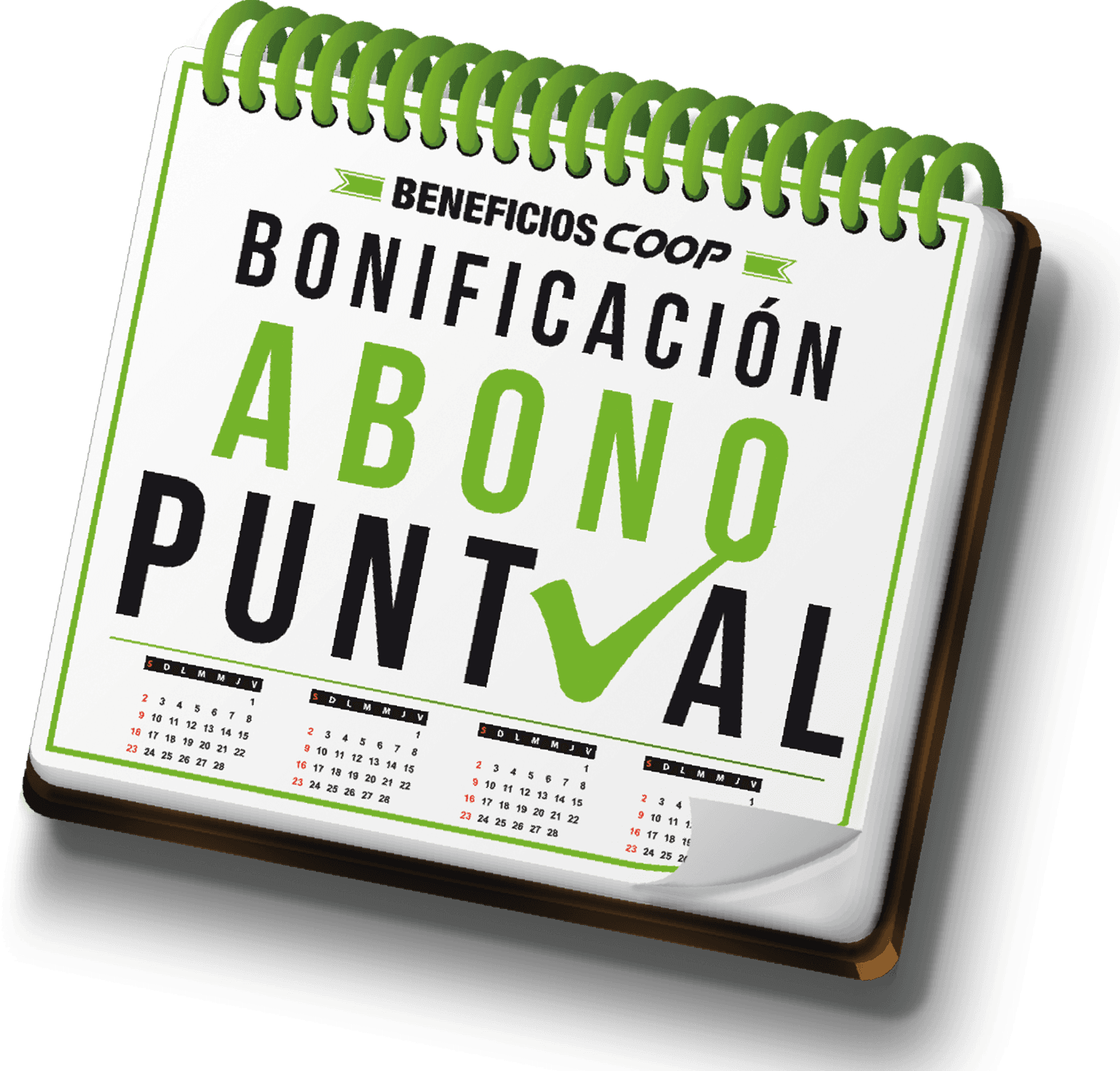 Bonificación por abono puntual